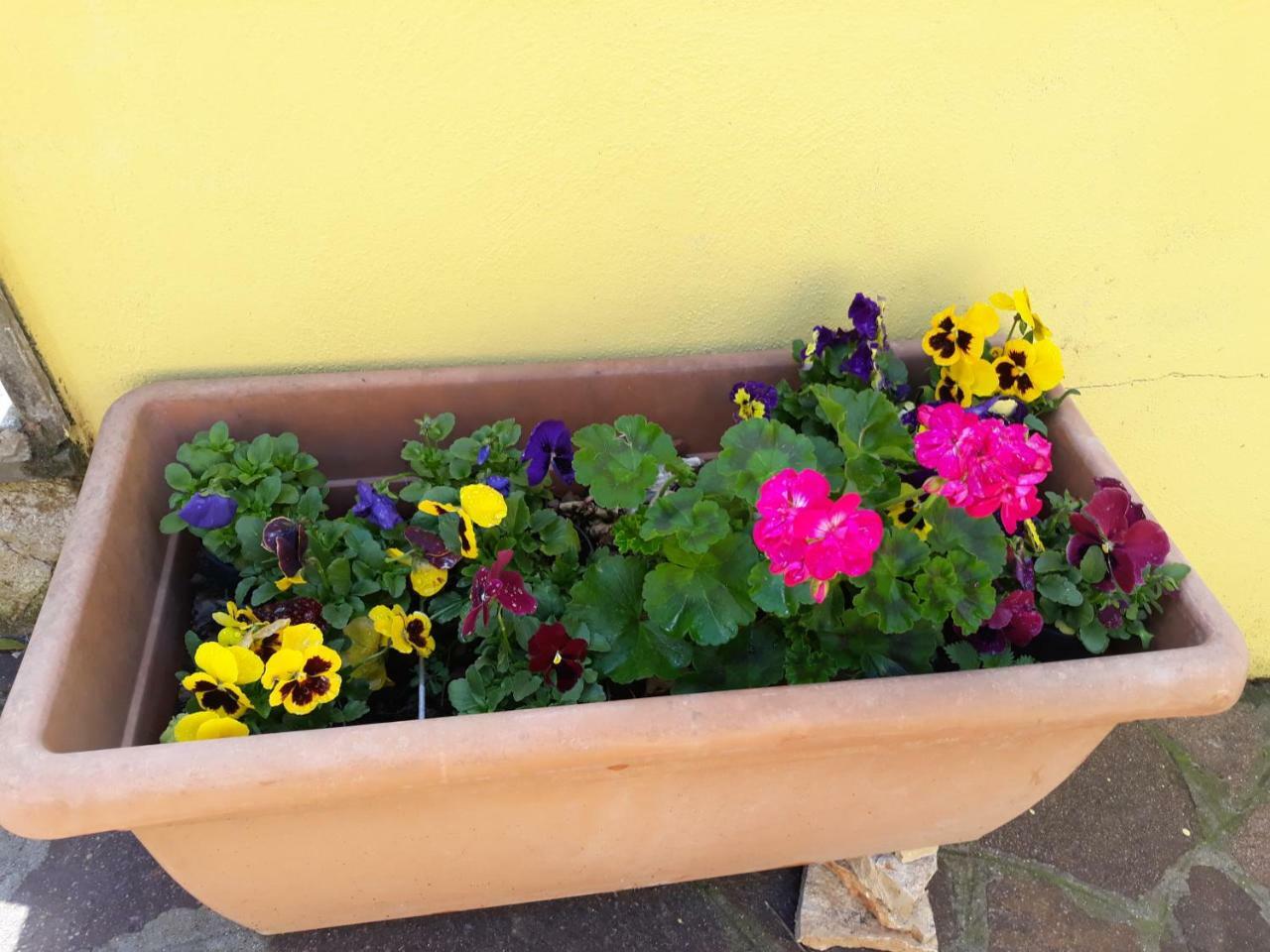 Flowery House Apartamento Roma Exterior foto